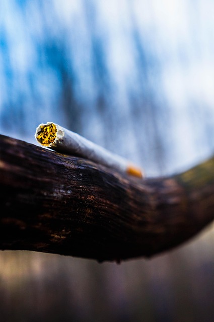 Michael Lewis tweet media