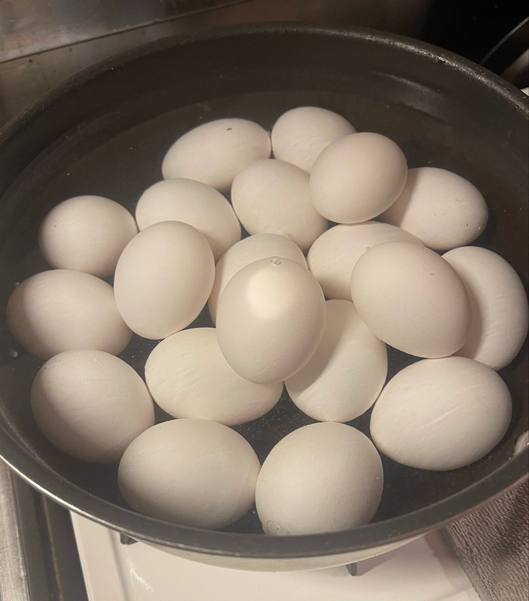 谷田歩 Ayumi Tanida tweet media