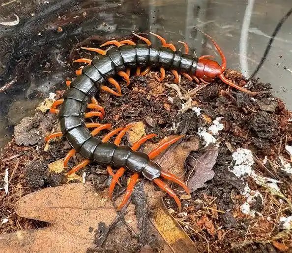 Tatisse 🇫🇷 tweet media