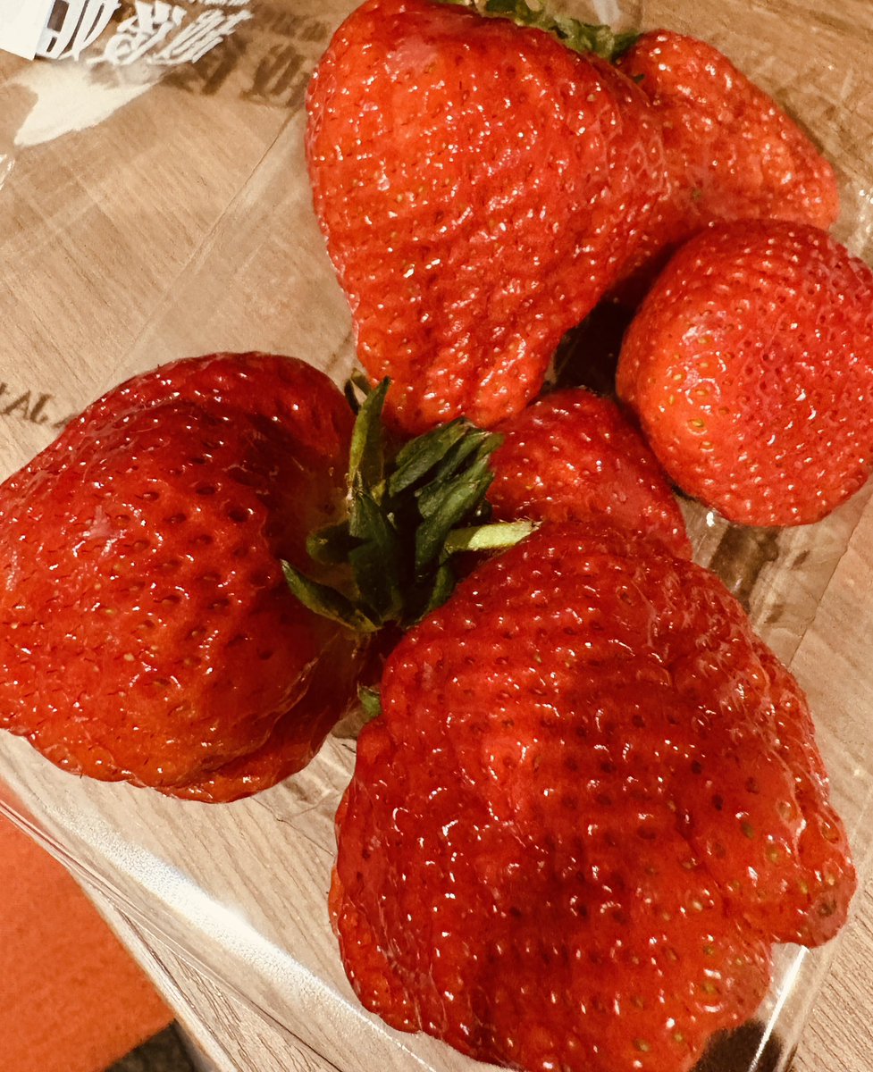 Yukiko Tanaka 田中雪子 ゆっきー tweet media