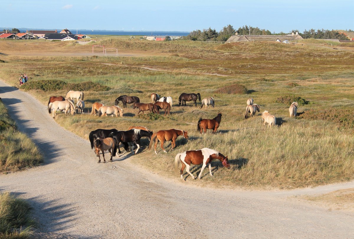BelAndora 🏳️‍🌈 tweet media