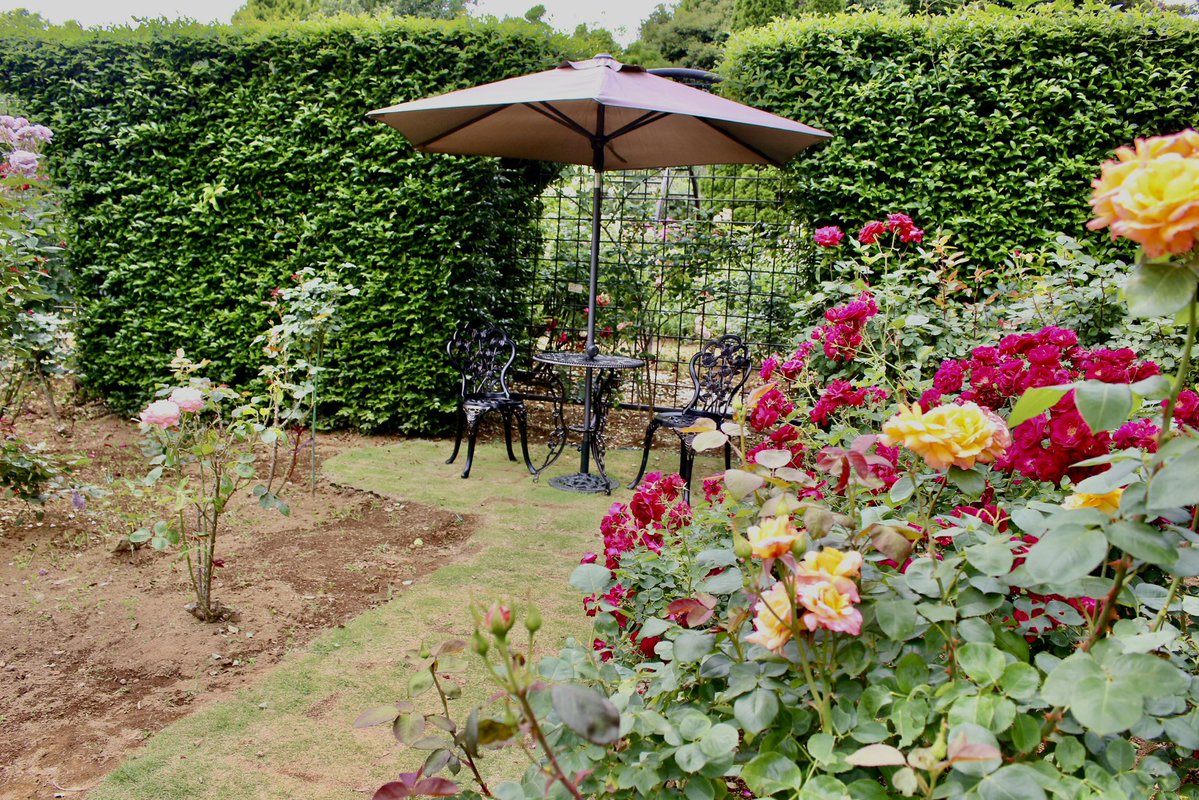 えざき舎@15周年 tweet media