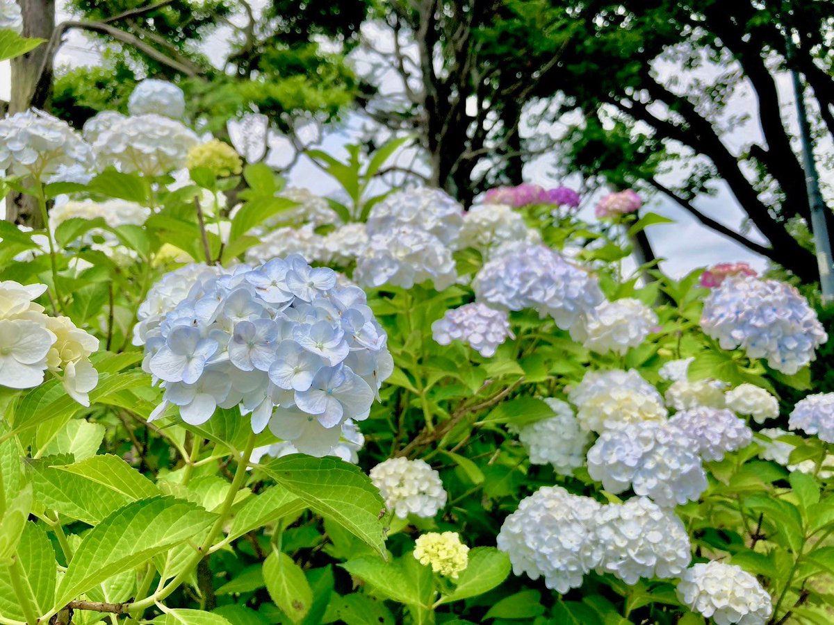 えざき舎@15周年 tweet media