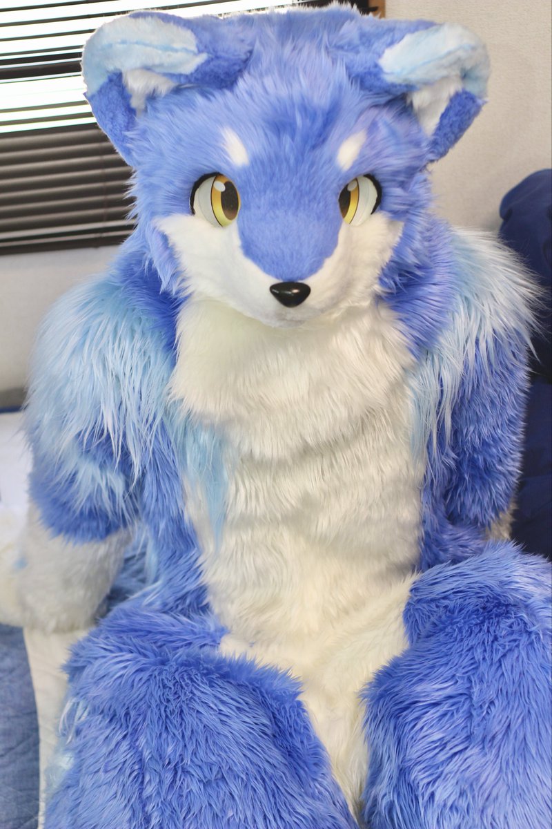 やっく tweet media