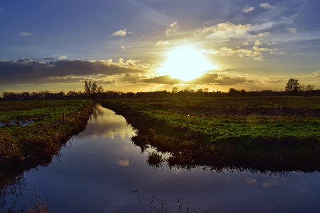 Linda Robertson tweet media