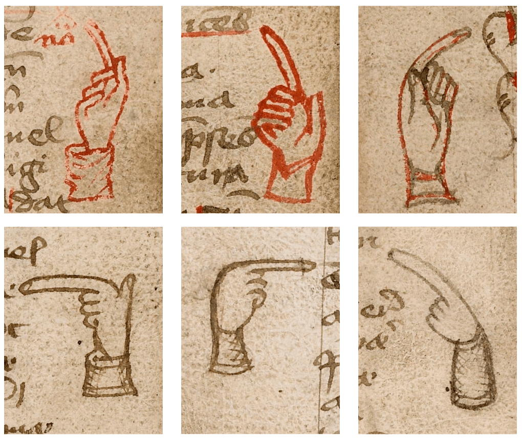 Vatanabeus tweet media