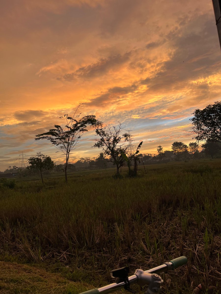 andkawsnuu tweet media