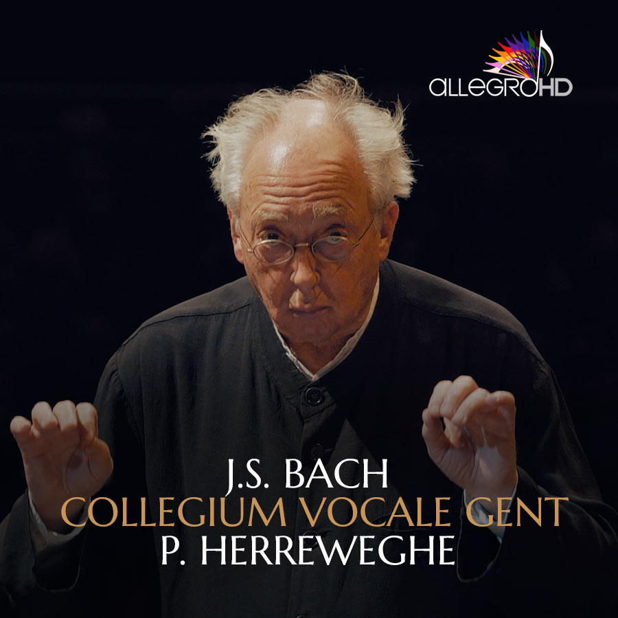 AllegroHD tweet media