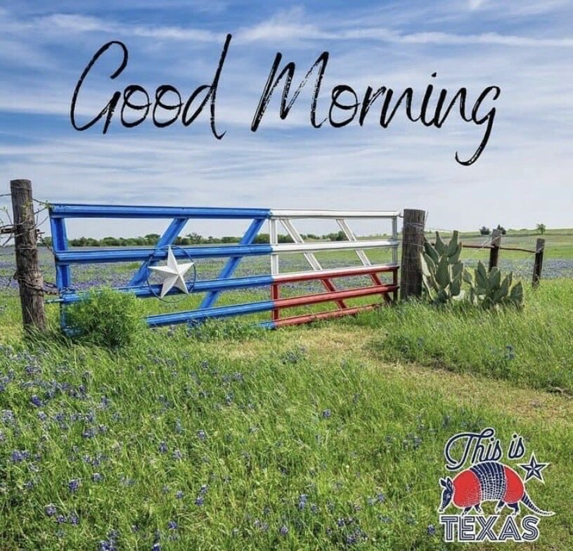 DD Young tweet media