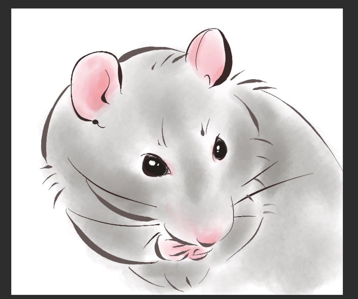 おこめω(🐀Lv.5) tweet media