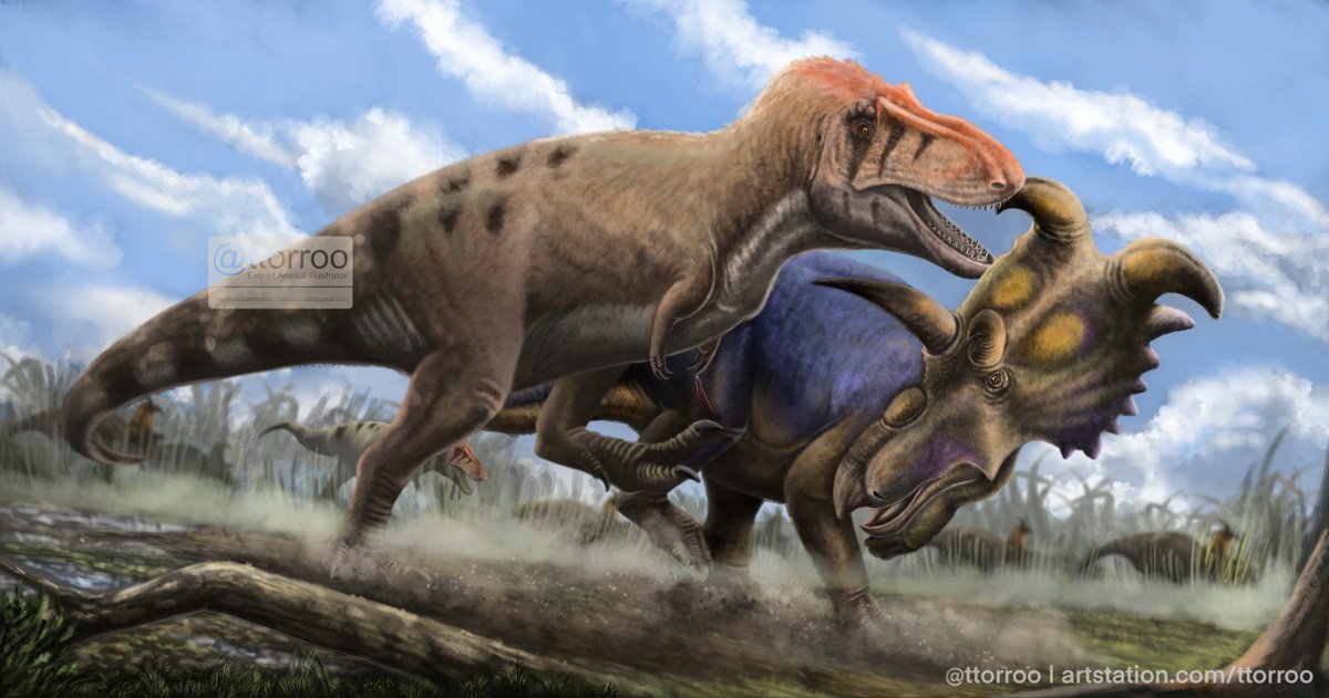 Torosaurus tweet media