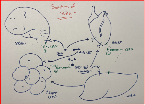 Nick Norwitz MD PhD tweet media