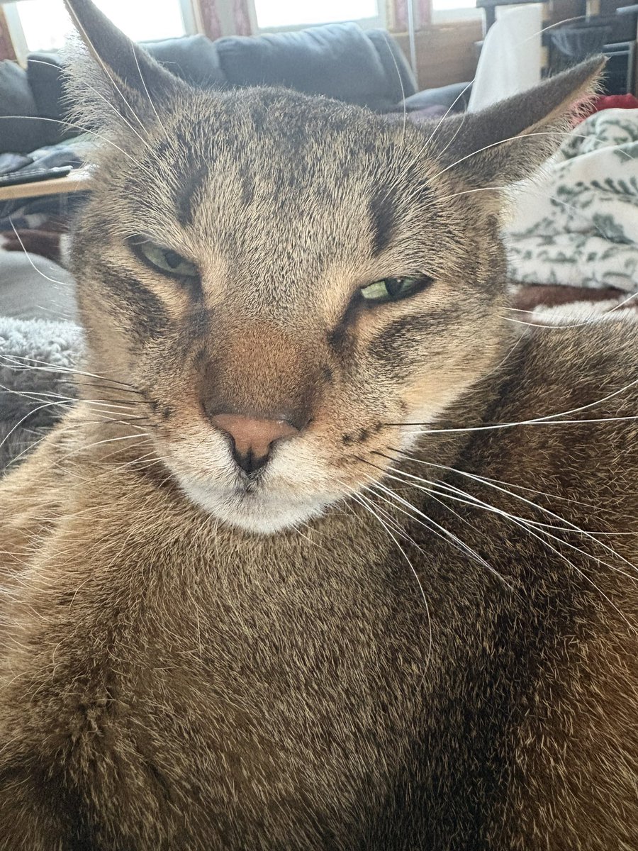 Teddy KW tweet media