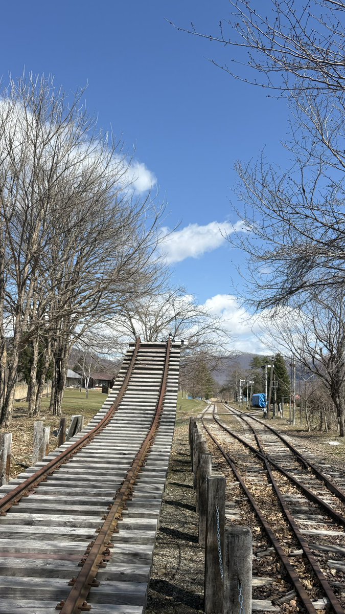 横道それ子 tweet media