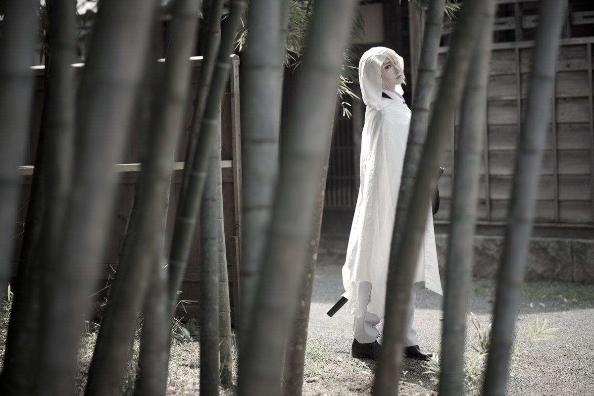 なお＠カメラマン📸✨ tweet media