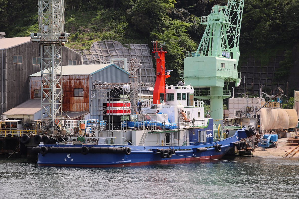 panamaru2 tweet media