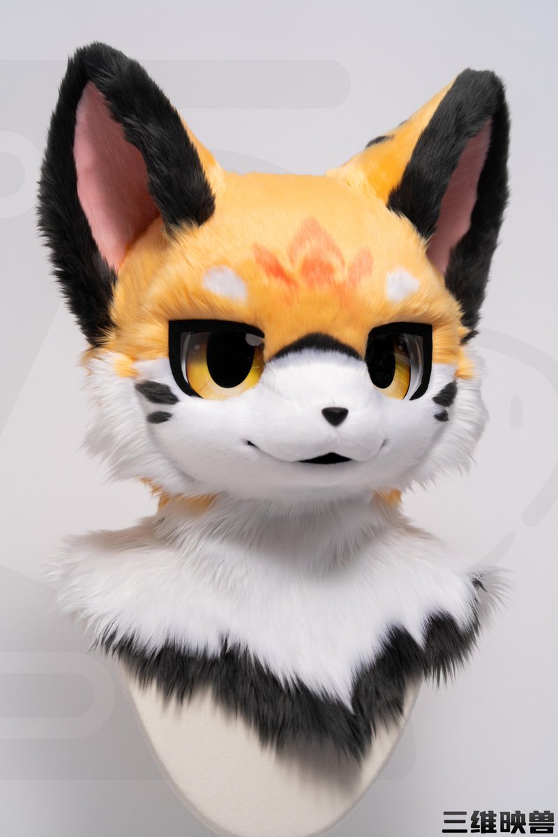 三维映兽 tweet media