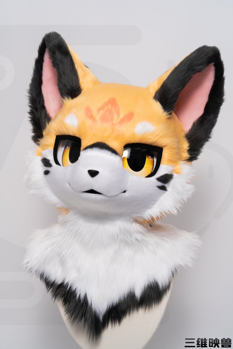 三维映兽 tweet media