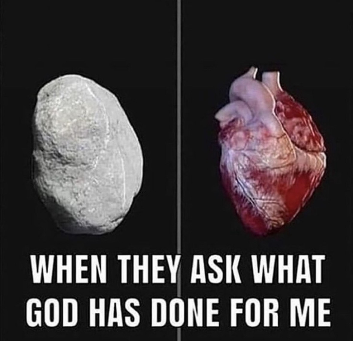 𝕊𝕠𝕝𝕒 ℂ𝕙𝕒𝕕 🎚️ tweet media