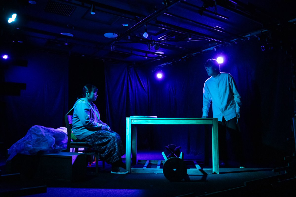 コトリ会議 tweet media