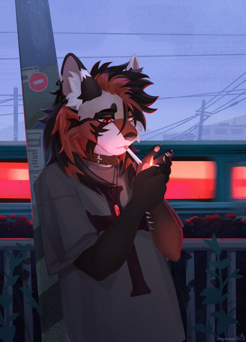 MOOMOTH 🐮🌱 tweet media