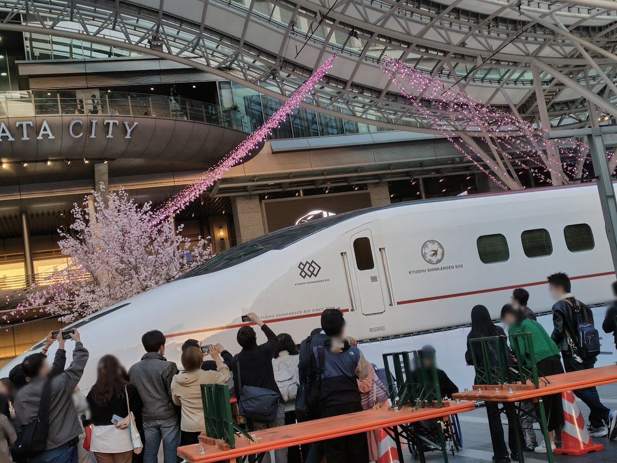 キシリア⛵️ウル❂ﾊﾟﾘﾝｸﾞｳｪｲ🐰 tweet media