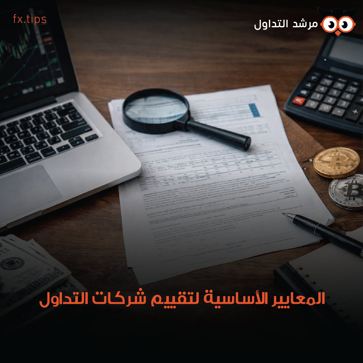 مرشد االتداول tweet media
