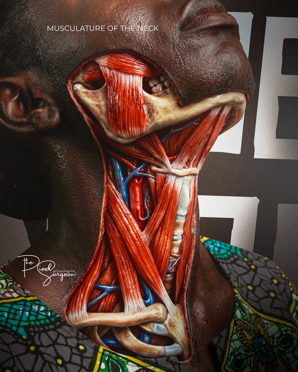 Simon Thazhigilla Simon🇳🇬 tweet media