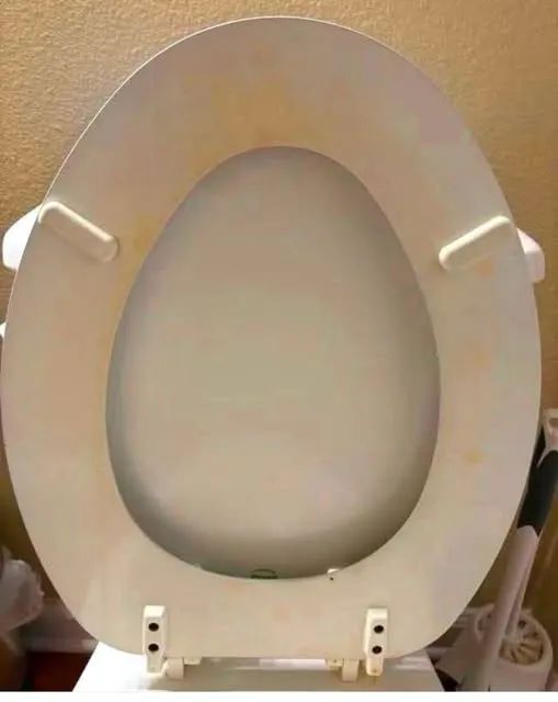 Nimra Shahzadi ❣️ tweet media