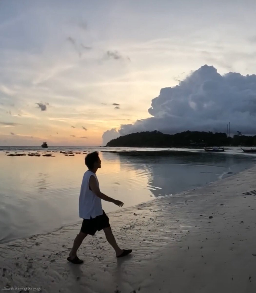 saxingxing tweet media