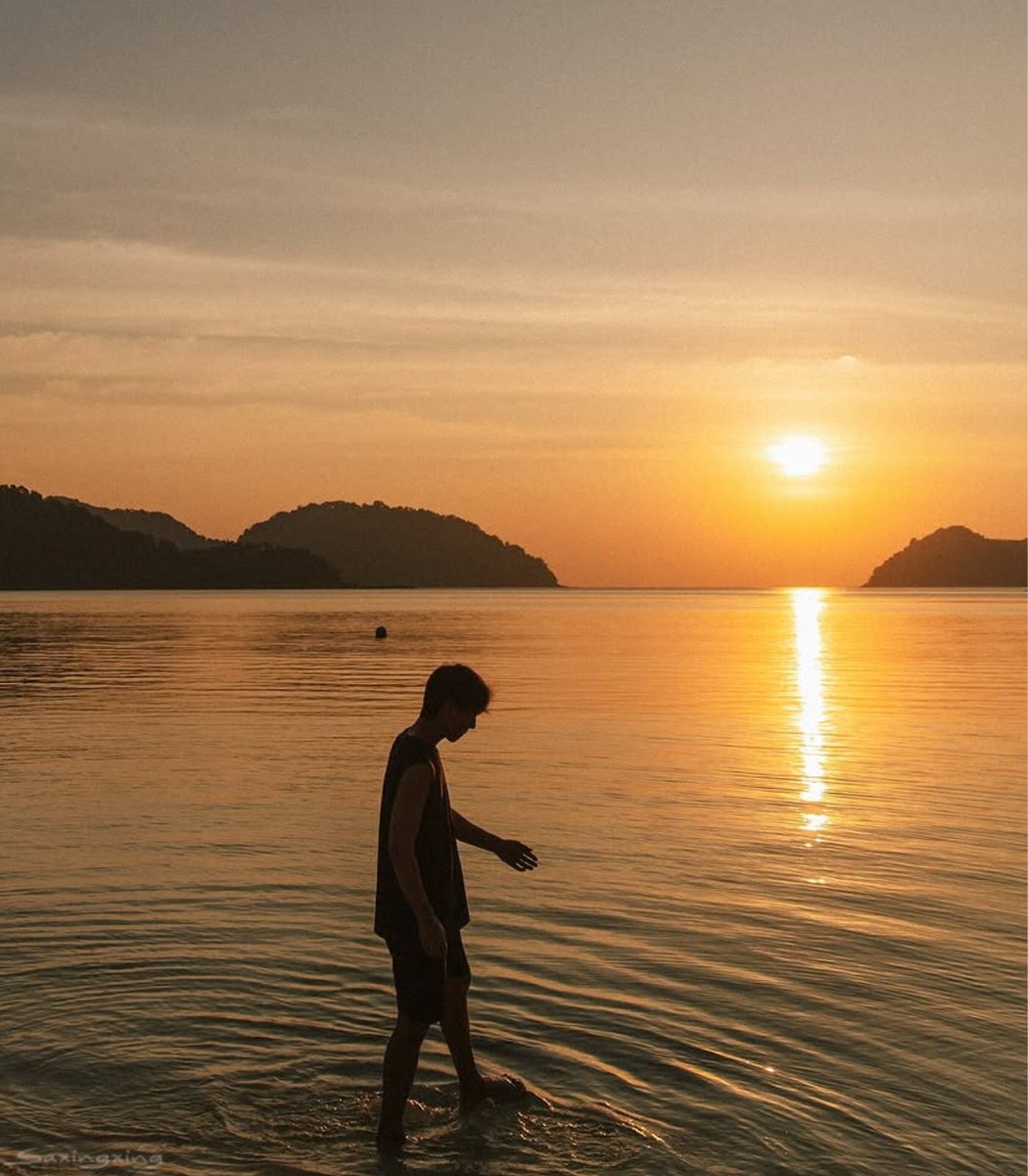 saxingxing tweet media