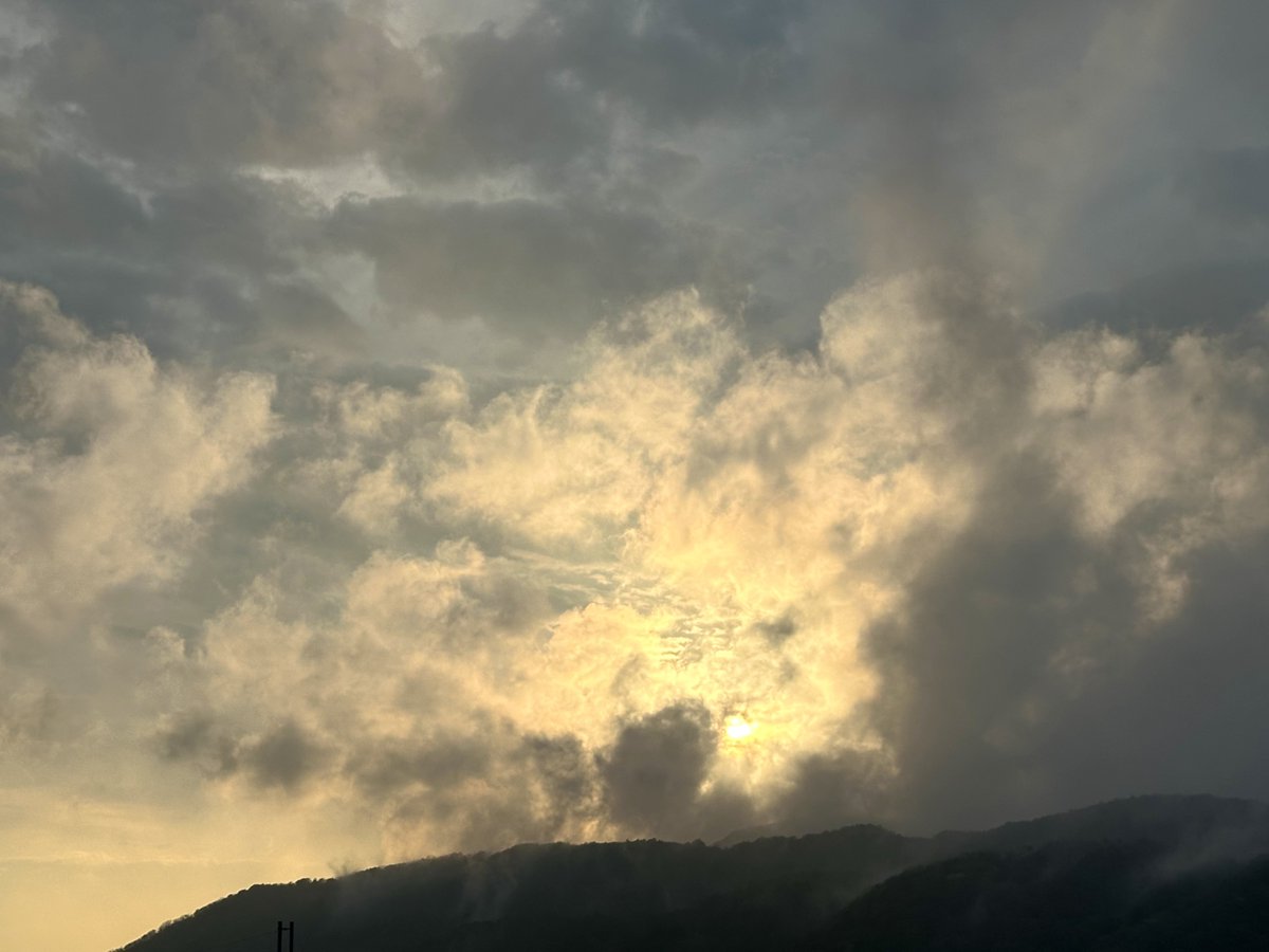 夕方散歩の時の空めっちゃ綺麗やった✨️
ほにゃもういっぬとベッド入ったので寝ます( ˘ω˘ ) ｽﾔｧ…