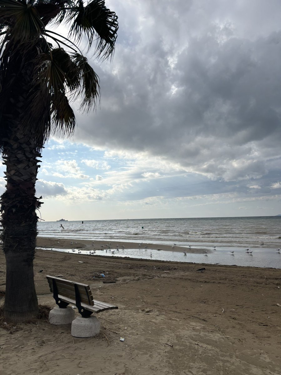 Berivan Ak tweet media