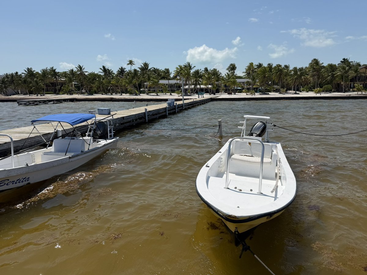 ryanb29073's tweet photo. Arrived at El Pescador in Belize yesterday. Looking forward to my first fly fishing today. https://t.co/v1LmX0KEuM