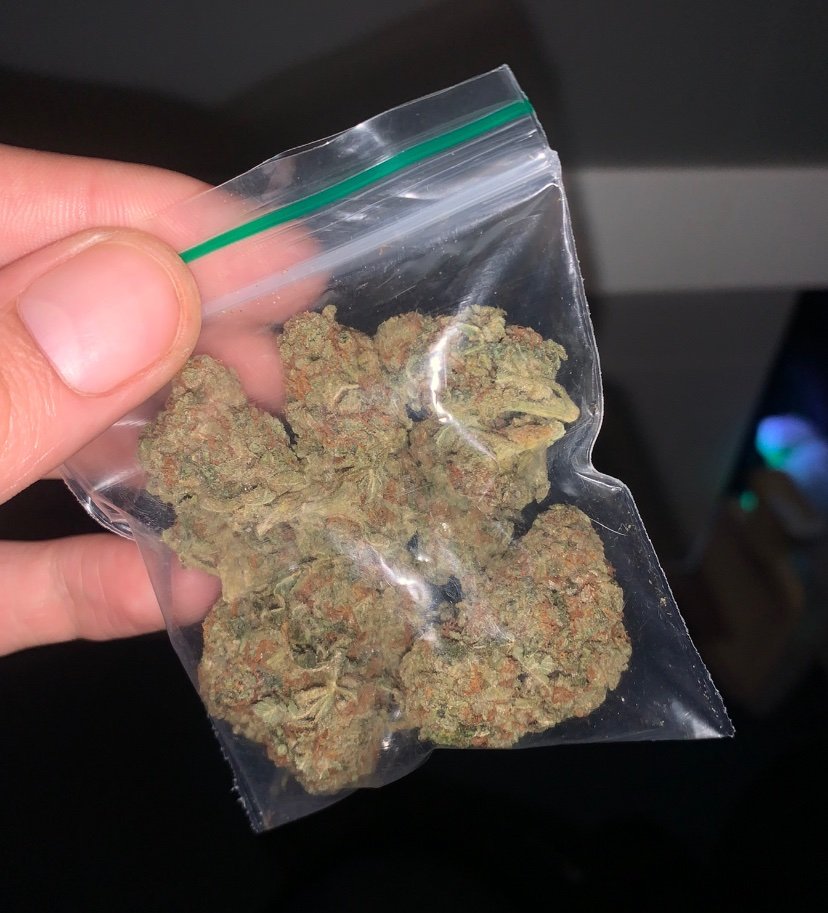 sincity seeds tweet media