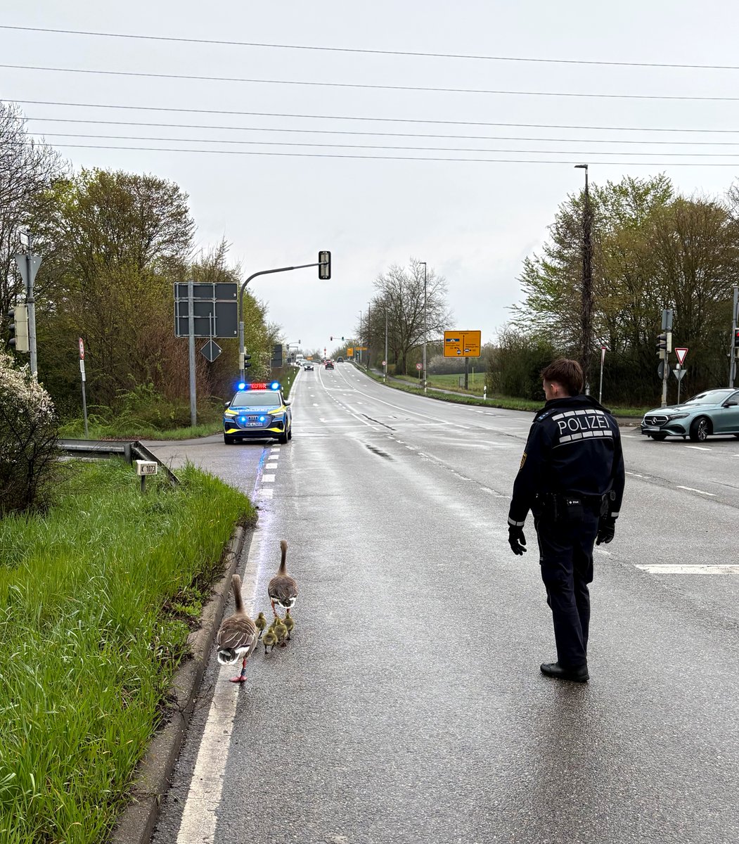 Polizei Ludwigsburg tweet media