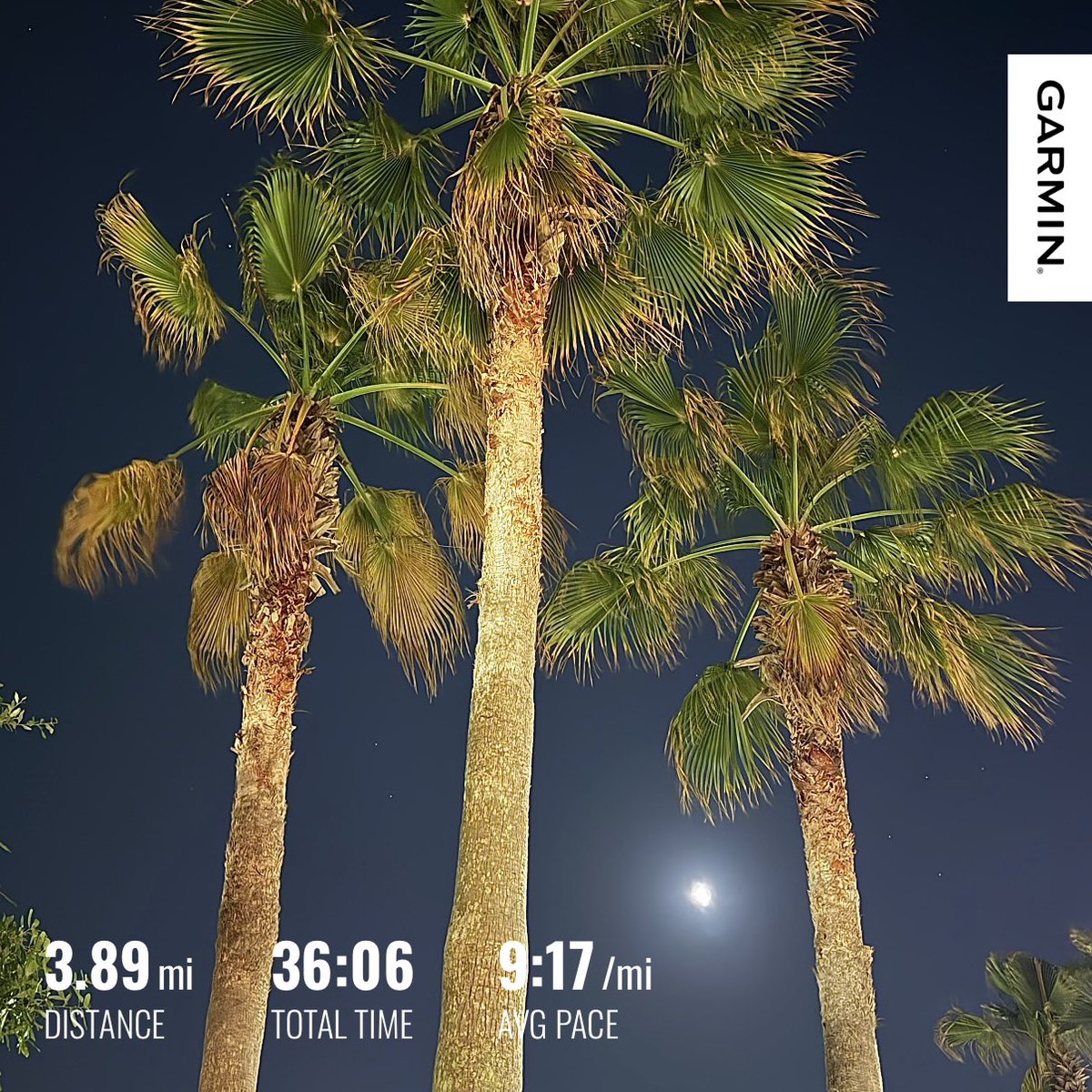 JohnBostonRowe's tweet image. Another good effort at an anaerobic run, but the hills are definitely a challenge, especially when I’m used to the flat courses. 
1 mile warmup
1 minute hard - 1 minute jog (x8)
1 mile cooldown

#FloridaRunner #DailyRunner #RunBeforeTheSun #KeepMoving

#RunningStreak: 2290 days