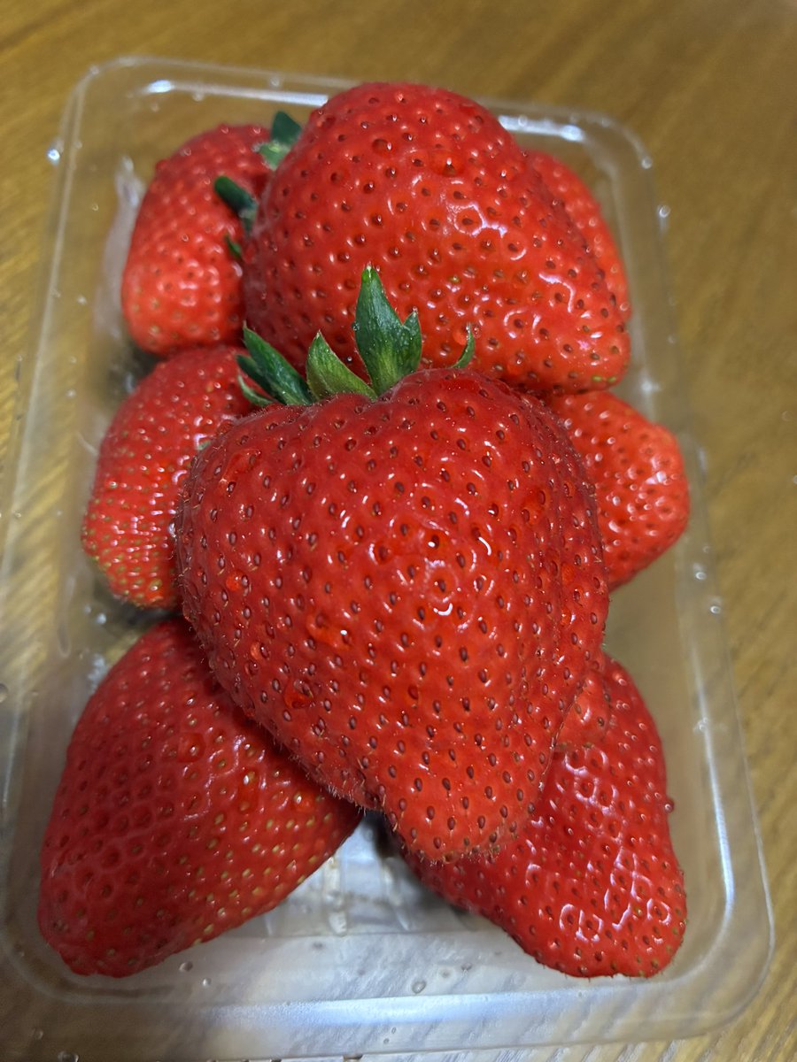 飯田まーぼ tweet media