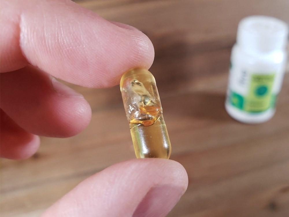 Mikehlbarry's tweet photo. With 2mg THC per serving, Five’s Full Spectrum Capsules provide the soft lift you need to set your day off on the right foot. Find out more about these awesome capsules.

#WeedGrow #CannabisGrow #weed
#GrowYourOwn #Mycology #LegalizeIt #SmokeWeedEveryday #PotHead https://t.co/0GrlTsDgwU
