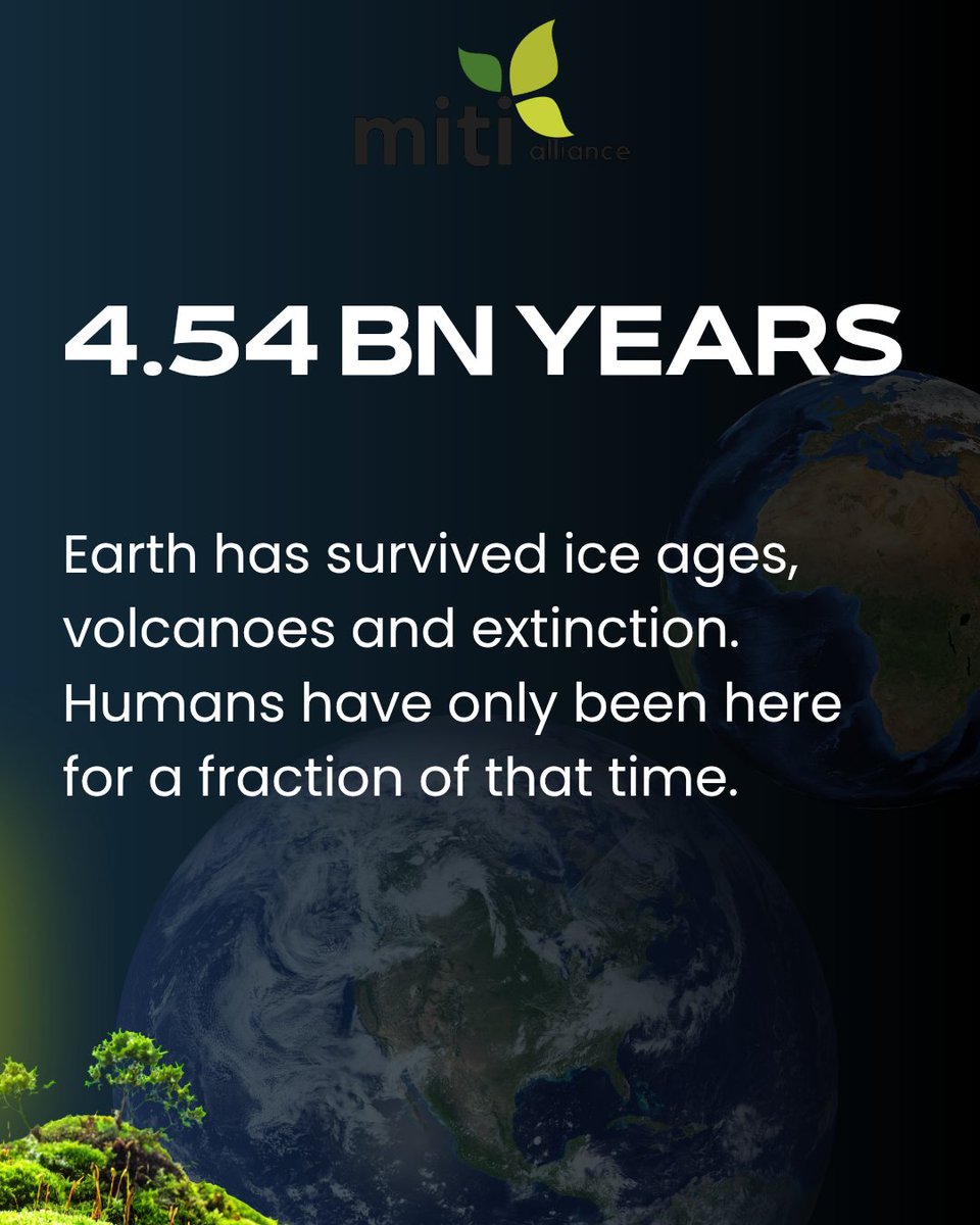 Miti Alliance tweet media