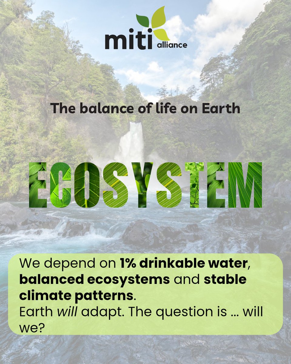 Miti Alliance tweet media