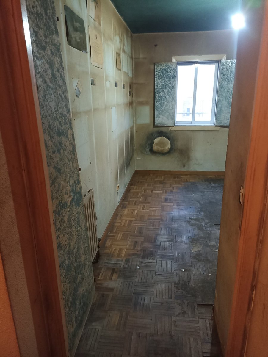 Susana 🌻 tweet media