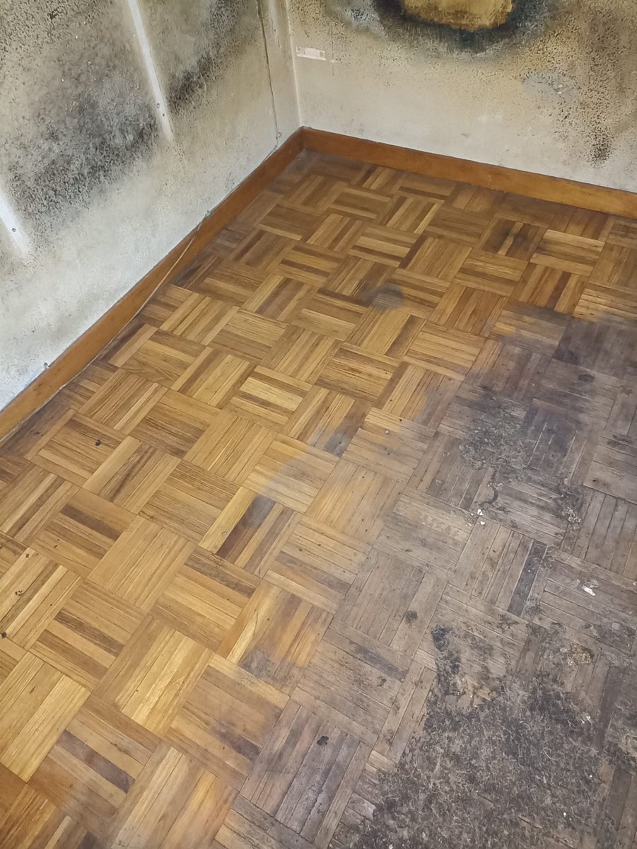 Susana 🌻 tweet media