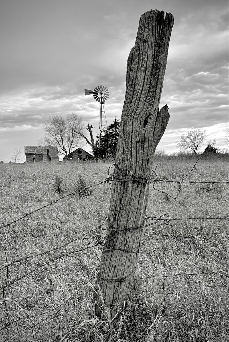 D Miller tweet media