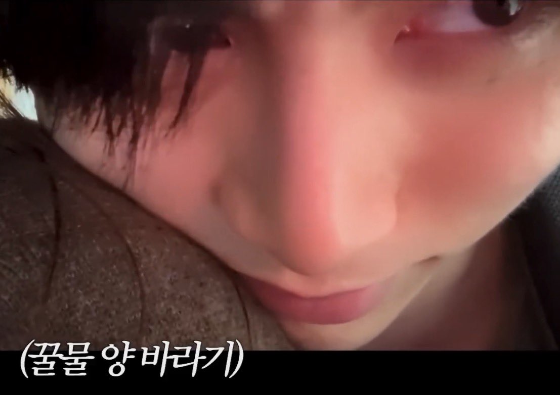 elly ᐢ ᐢ tweet media