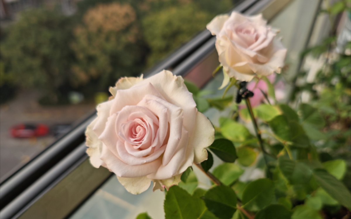 Kevin Klepp tweet media