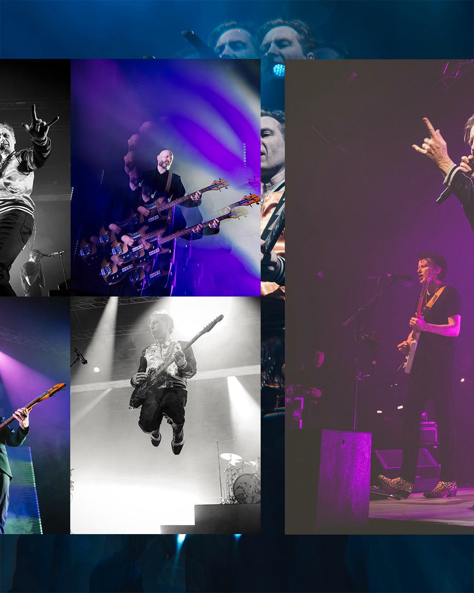 Franz Ferdinand tweet media