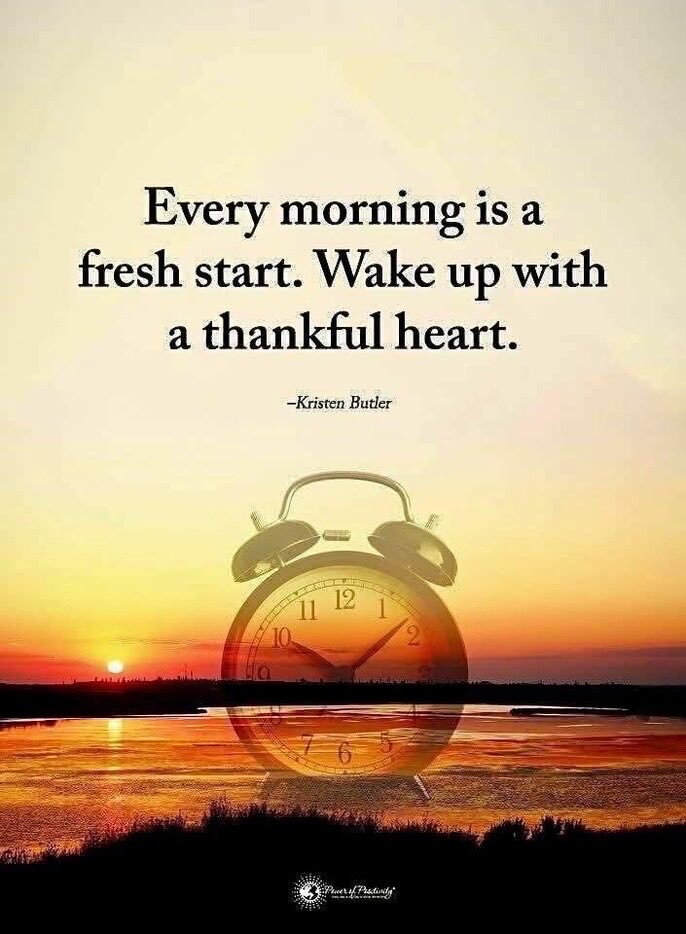 DD Young tweet media