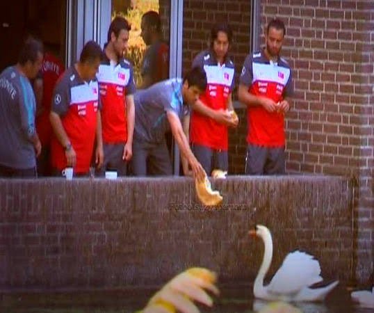 venividiali's tweet photo. Sinan sılacıyla sazova parkında kuğulara vakfıkebir ekmeğini salarken; https://t.co/est02avaCr