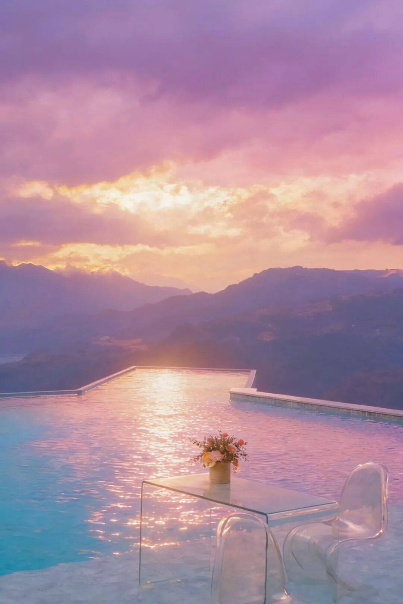 teodora stan tweet media